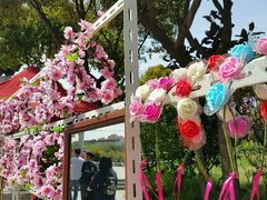 -南汇桃花村