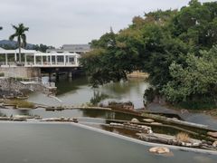 -厦门国家会计学院