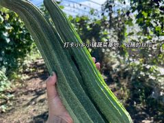 -小乡小镇·传承桐庐土菜·老板亲自烧的菜
