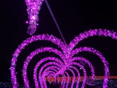 -八大山人梅湖景区