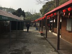 -长兴岛郊野公园农场食堂