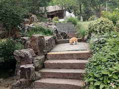 -采石矶景区
