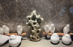 -香榭丽舍·生物护肤·问题肌护理中心