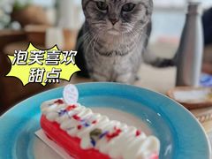 -共舞时光猫咖·狗咖(新街口店)