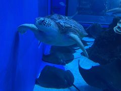 -成都浩海立方海洋公园