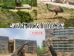 -太原动物园