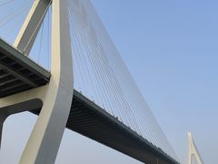 -芒洲湿地公园