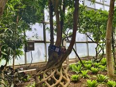 -石家庄市植物园