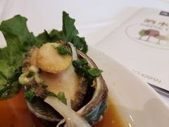 野生大鲍鱼-开海·红岛海鲜虾水饺(石老人店)