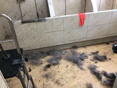 -美联众合动物医院·24h京西诊疗中心