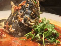 -坛宗剁椒鱼头(河西王府井店)