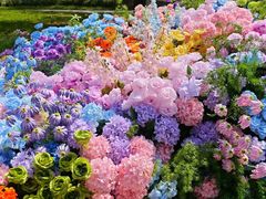 -狼山风景名胜区