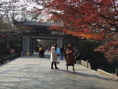 门面-西湖外事游船(花港观鱼码头)