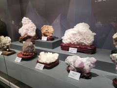 -湖南省地质博物馆