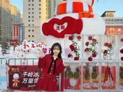 -盛京大奥莱(沈阳奥体店)