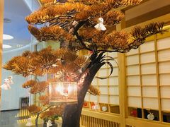 -伊豆野菜村(大族广场店)