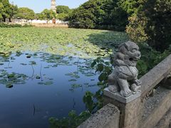 -普陀山风景名胜区-法雨禅寺