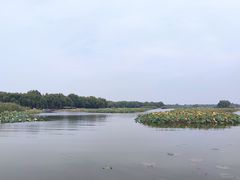 -白洋淀景区