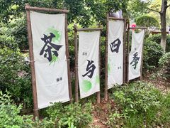 -天目湖山水园