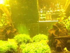 -鸡尾酒实验室酒吧(隆礼路店)