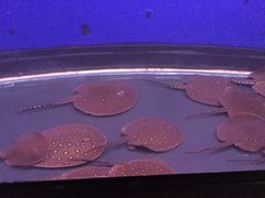 -洛阳龙门海洋馆