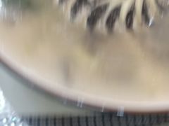-清真悦宾楼食府(海湖店)