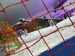 -重庆际华园室内极限运动中心