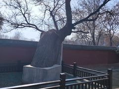 -天宁寺