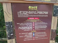 -芜湖方特东方神画