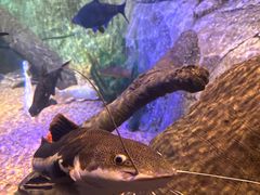 -沈阳海洋探索中心