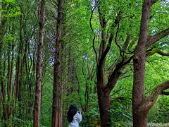 -同里国家湿地公园