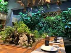 -森味薪火烧•烧鸟居酒屋•日本料理(望京店)