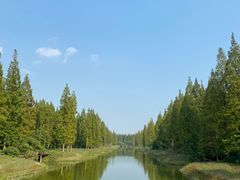 -黄海国家森林公园