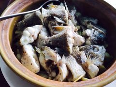 iphone_upload_pic-湿地轩