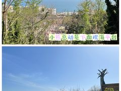 -东方熊牧场