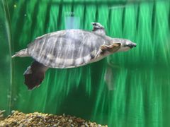 -华夏文旅西安度假区