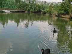 -溱湖国家湿地公园