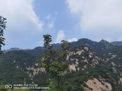 -大岭沟猕猴桃谷风景区