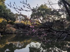 -汇龙潭