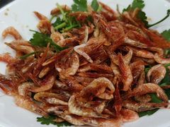香菜淡皮-星龙海鲜(望江东路店)