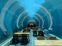 -海棠湾洲际-涛·海底餐厅·美人鱼·自助餐·海底隧道