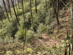 -太阳湾风景区