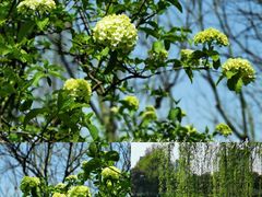 -白塘生态植物园