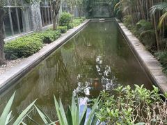 -桃源春晓中餐厅 TaoYuan Restaurant