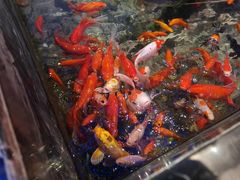 -蟹之国·精品蟹料理(极地店)