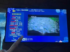 -合肥海洋世界