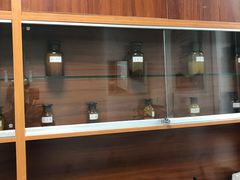 -上海市黄浦区香山中医医院