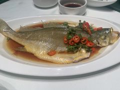 -祥记餐饮•豫粤珍味(金隅大厦店)