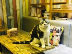 -小时光咖啡馆(开森度假森林店)
