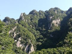 -王顺山国家森林公园